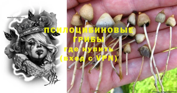 a pvp Алзамай