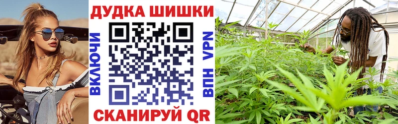 Бошки марихуана Bruce Banner купить закладку мега ссылка Котово